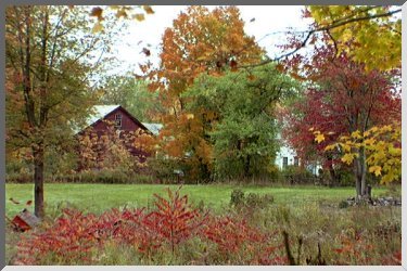 Front view of FARM