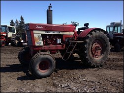 IHC 1066 Wheatland