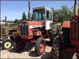 IHC 756 Wheatland.