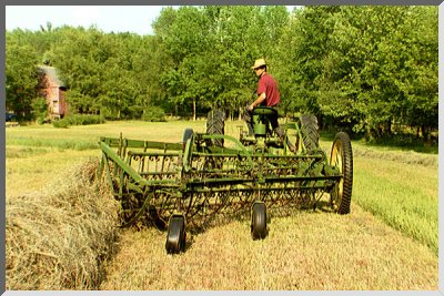 Raking hay